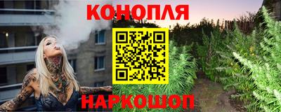 амф Дубна