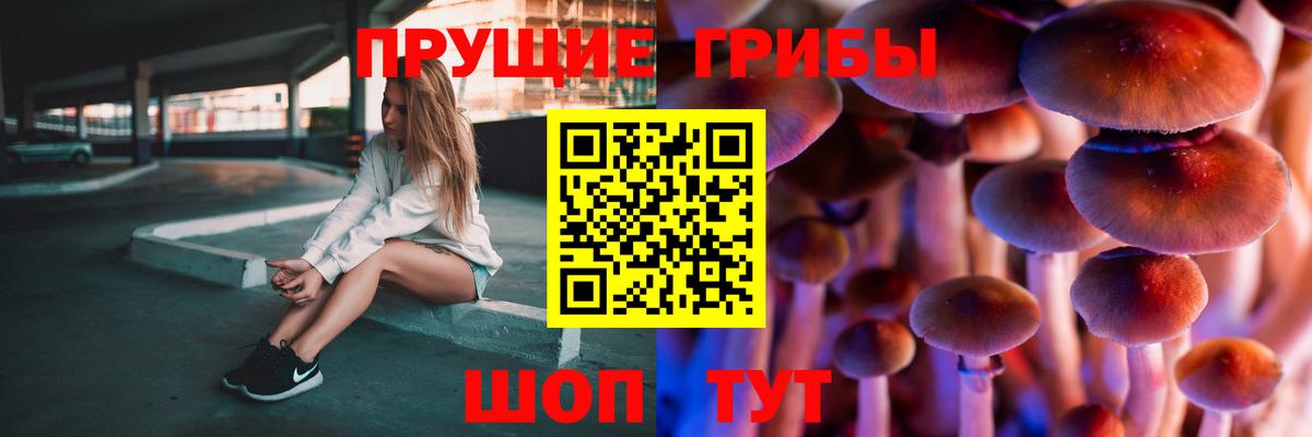 Минеральные Воды  сколько стоит  Псилоцибиновые грибы ЛСД  Вход с VPN  Галлюциногенные грибы мицелий 
